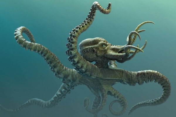 Kraken маркетплейс